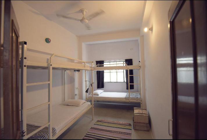 Eco Family Hostel Dźajpur Zewnętrze zdjęcie