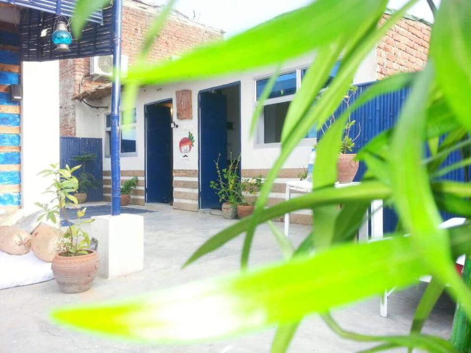 Eco Family Hostel Dźajpur Zewnętrze zdjęcie